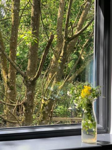 Alder Cabin Kilkenny Ngoại thất bức ảnh