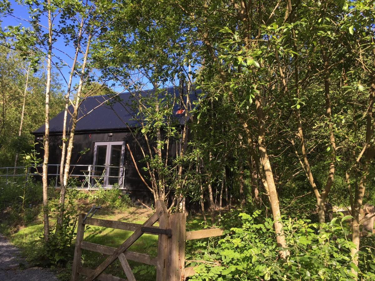 Alder Cabin Kilkenny Ngoại thất bức ảnh