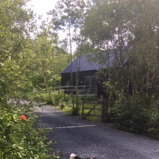Alder Cabin Kilkenny Ngoại thất bức ảnh