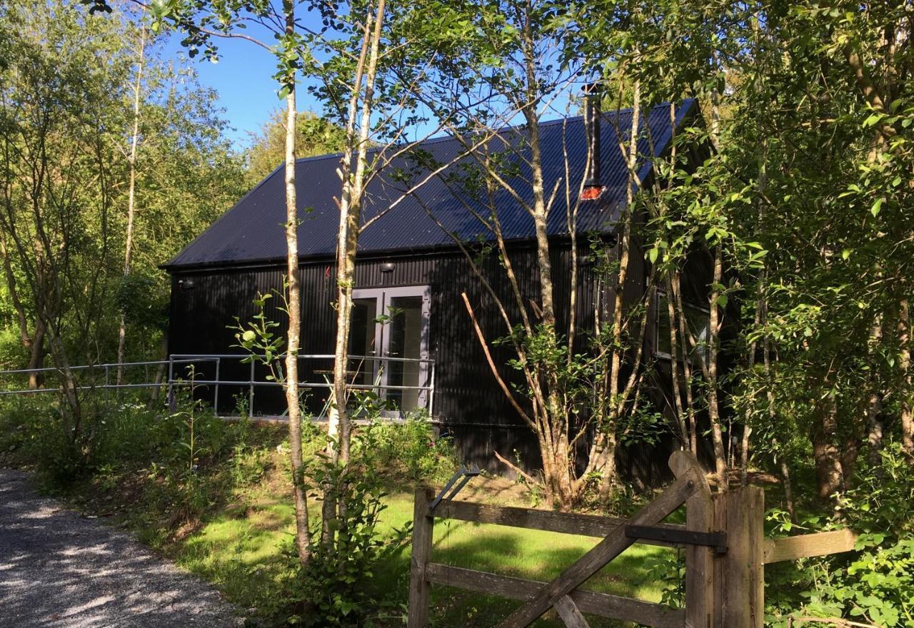 Alder Cabin Kilkenny Ngoại thất bức ảnh